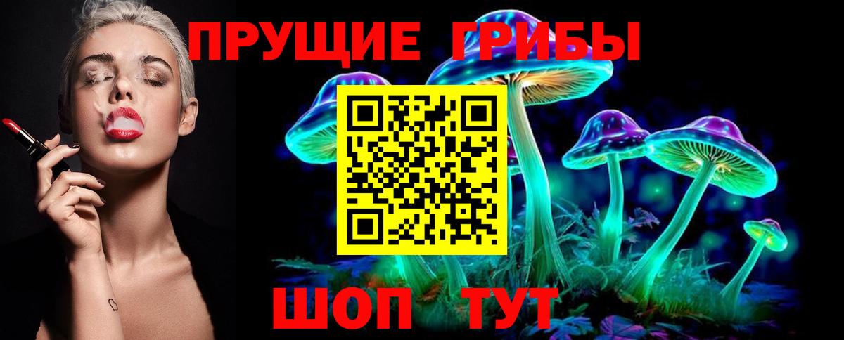 Псилоцибиновые грибы прущие грибы Старый Оскол