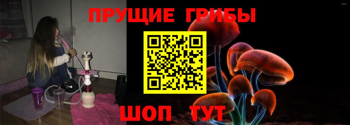 Старый Оскол  Галлюциногенные грибы Psilocybine cubensis  Вход с VPN 